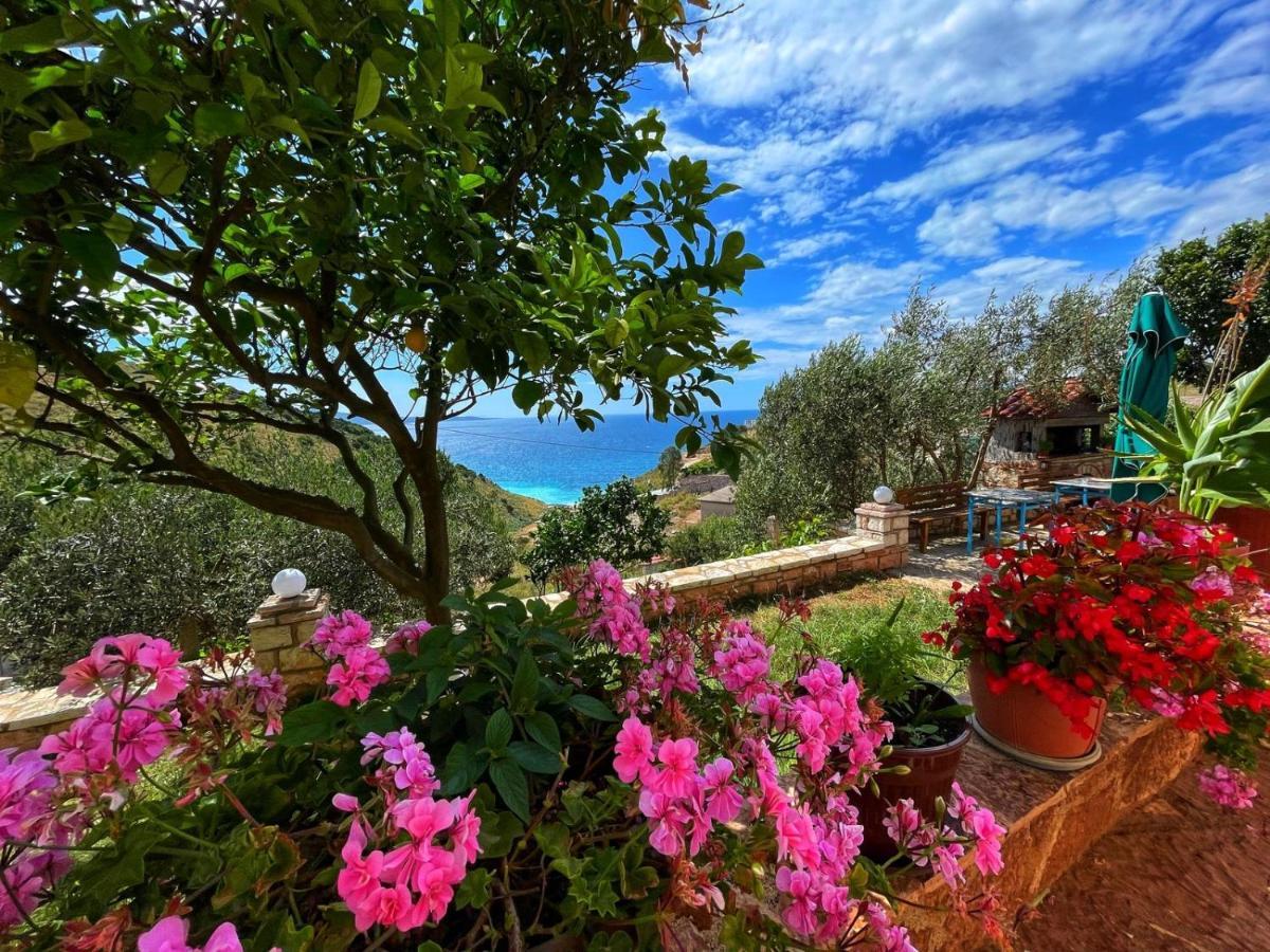 Vila Paza Sarandë 외부 사진