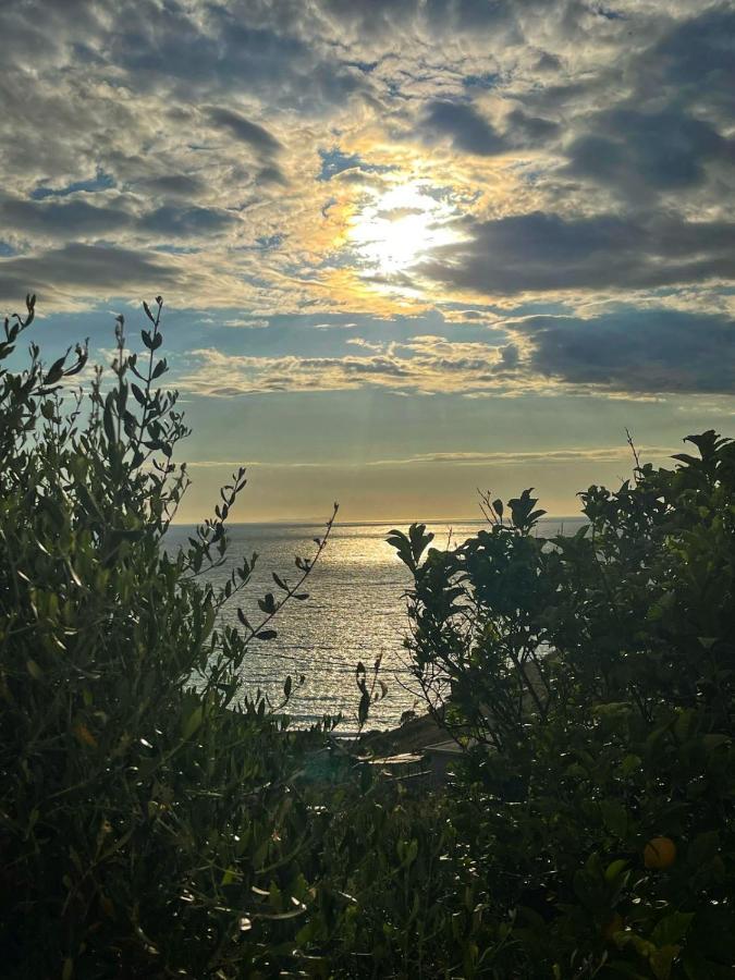Vila Paza Sarandë 외부 사진