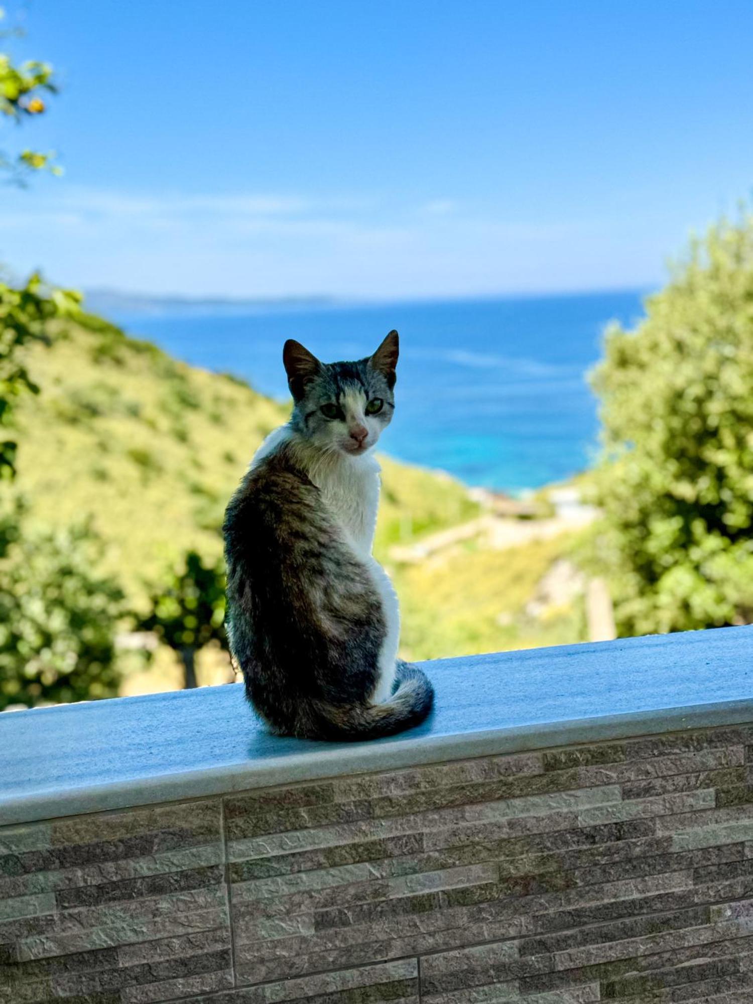 Vila Paza Sarandë 외부 사진