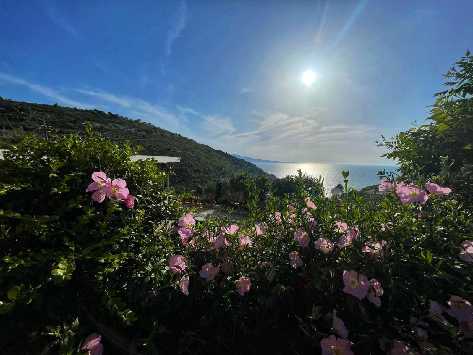 Vila Paza Sarandë 외부 사진