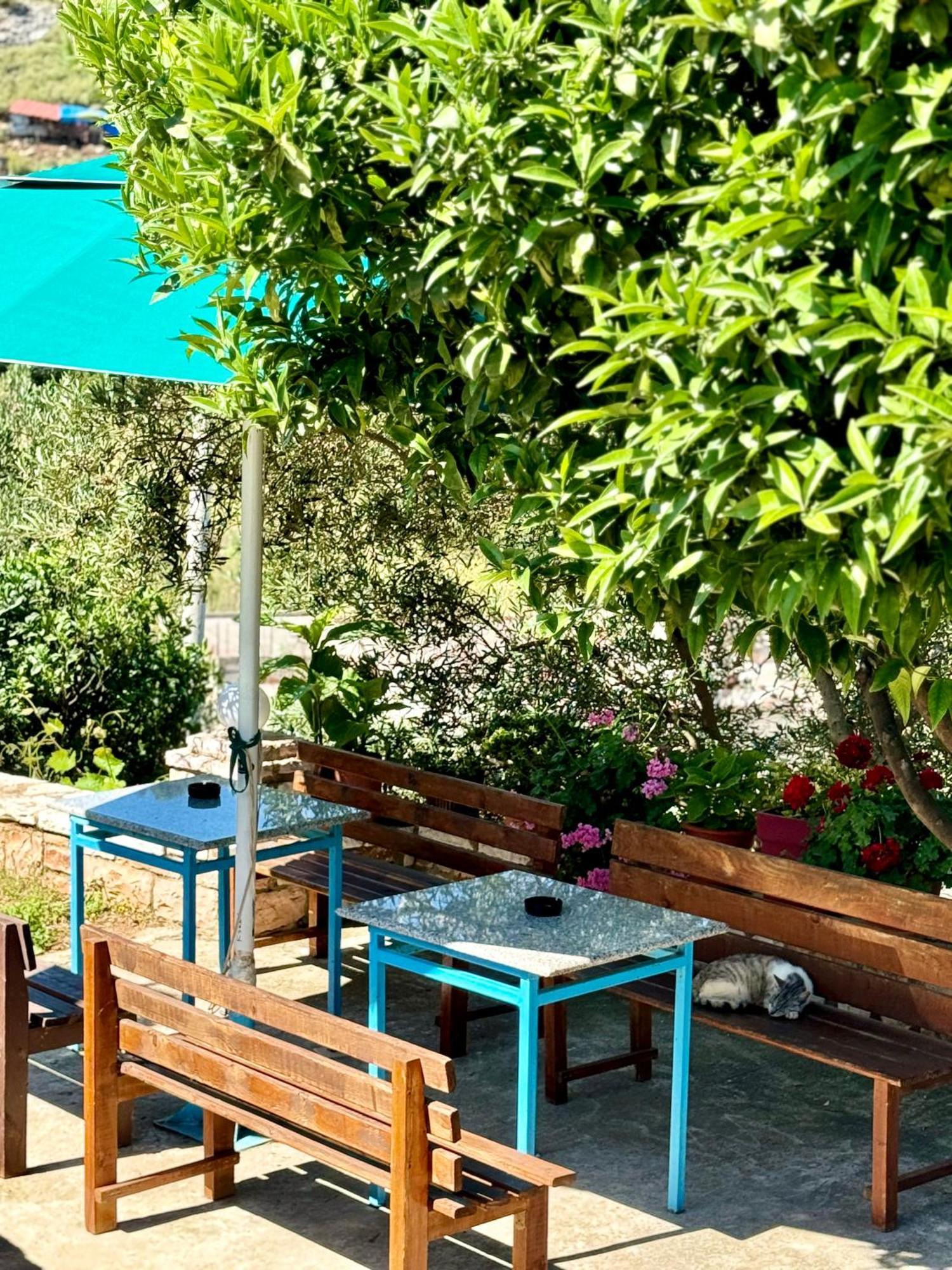 Vila Paza Sarandë 외부 사진
